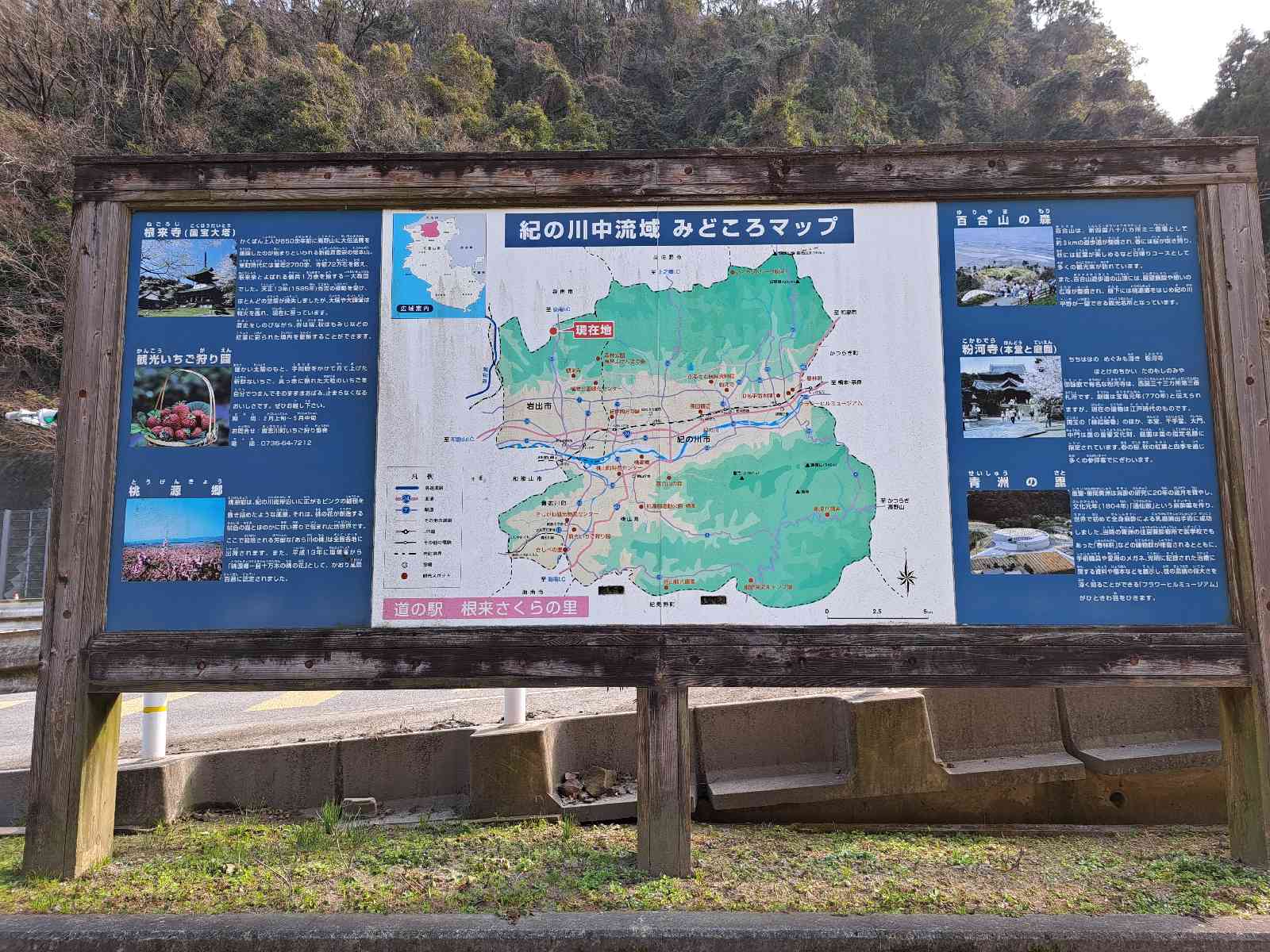 道の駅 根来さくらの里の写真