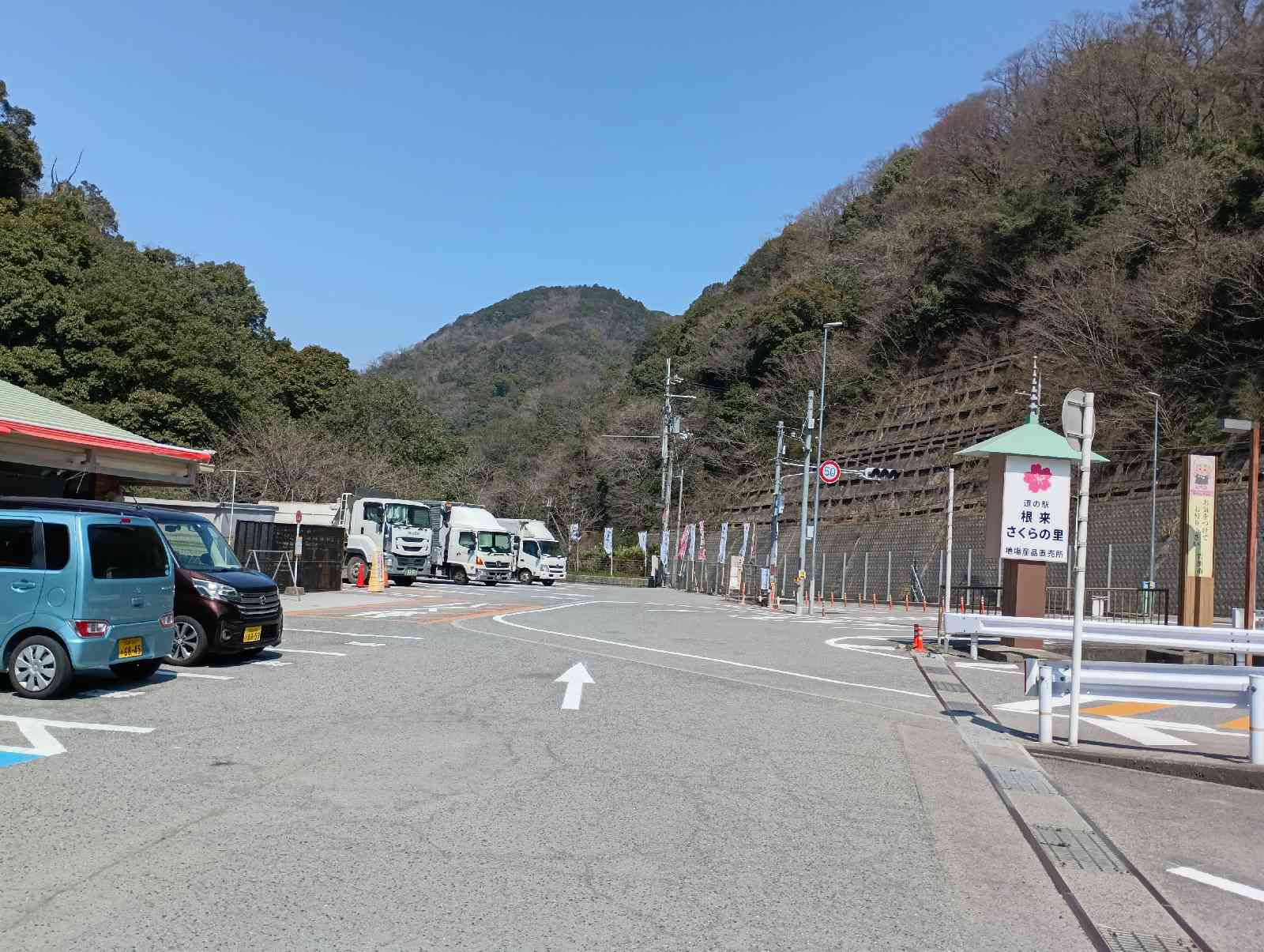 道の駅 根来さくらの里の写真