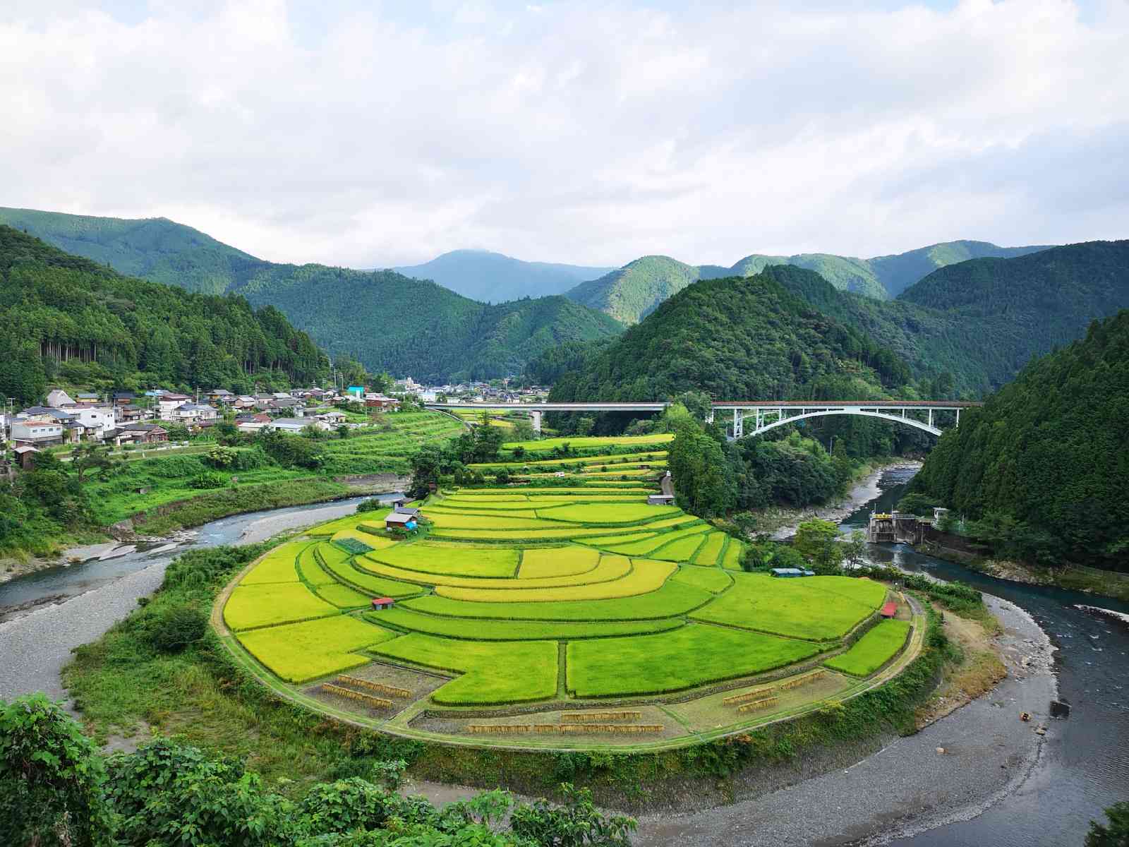 投稿された画像