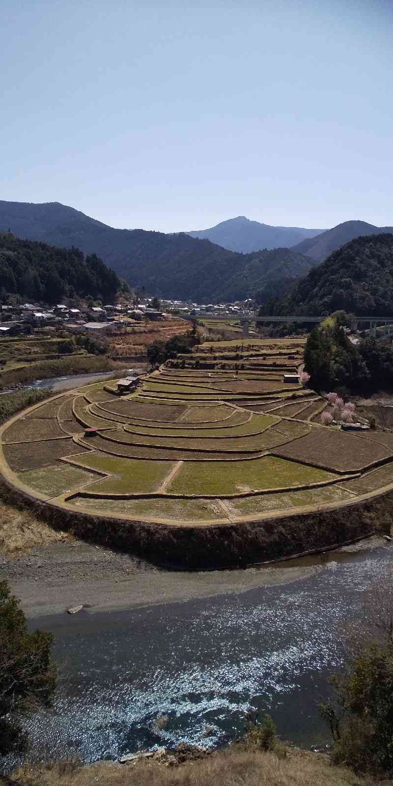 投稿された画像