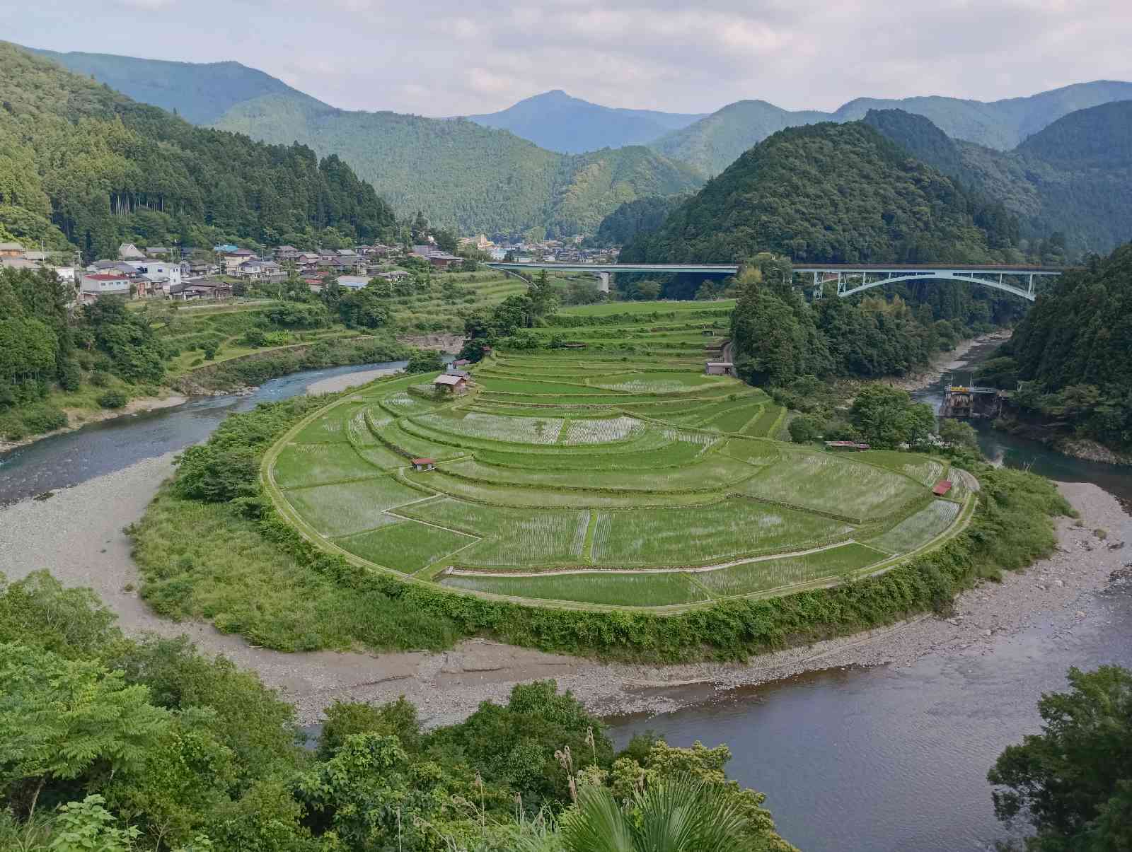 道の駅 あらぎの里の写真