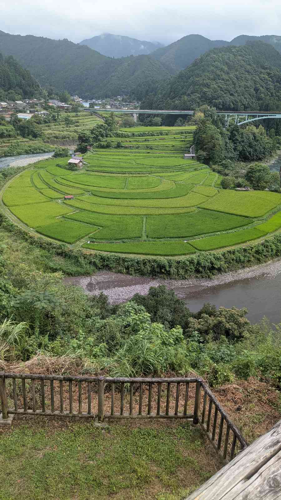 道の駅 あらぎの里の写真