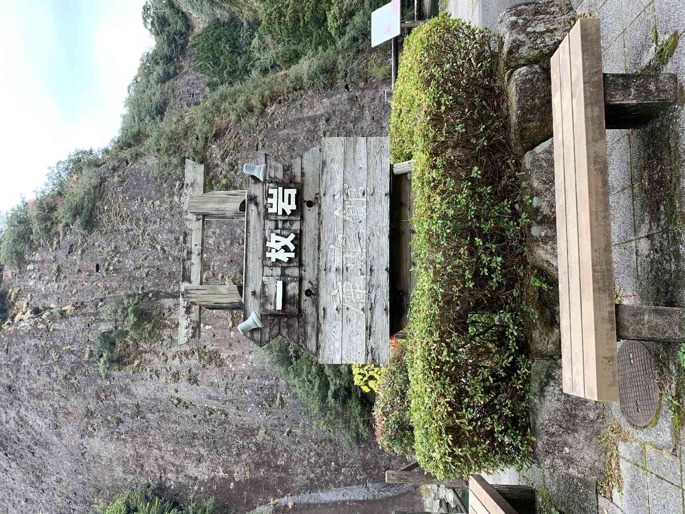 投稿された画像