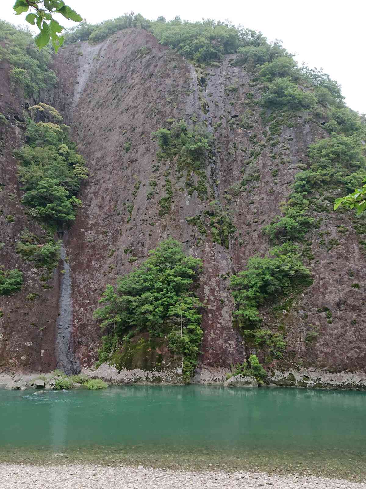 投稿された画像