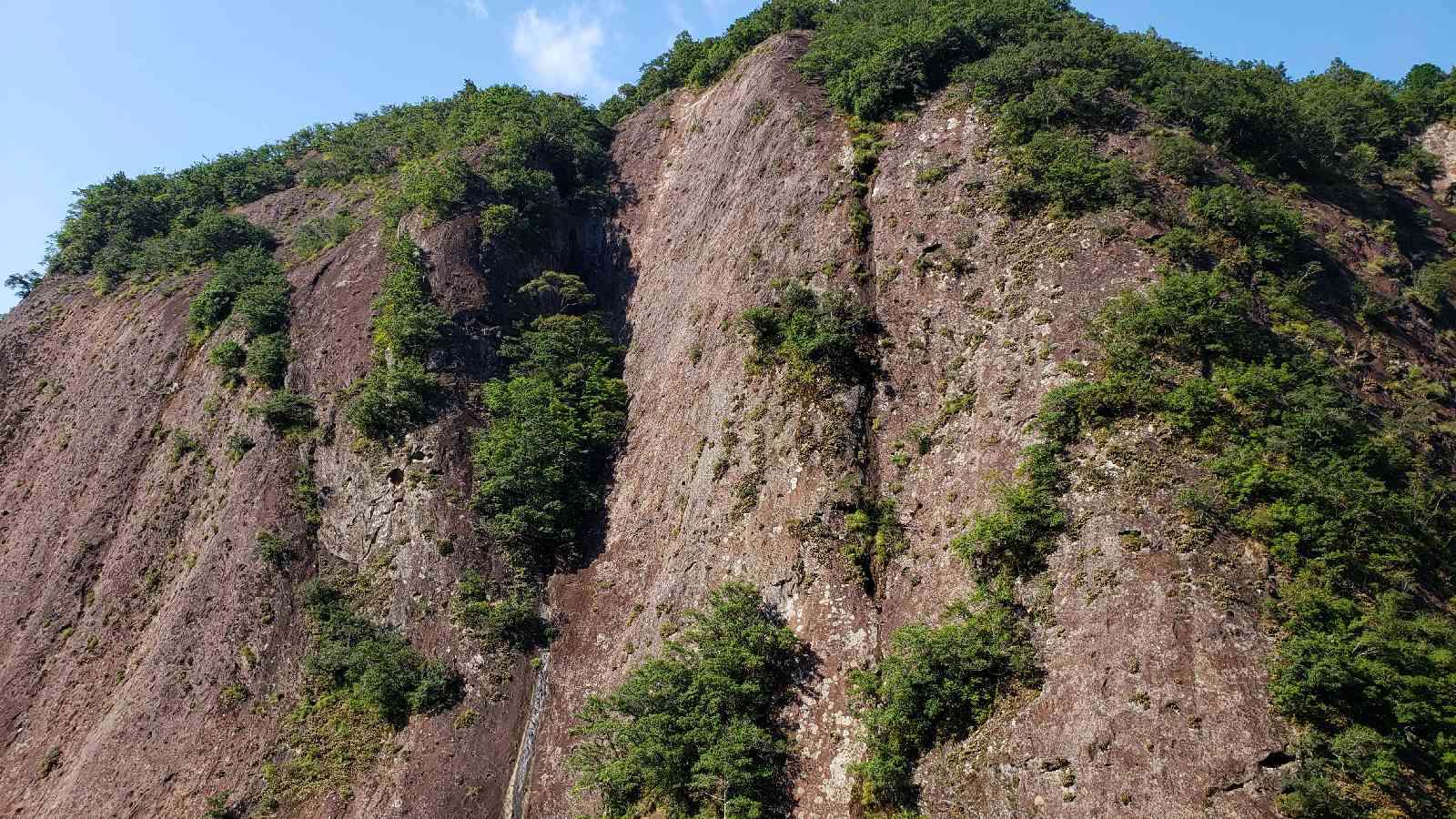 投稿された画像