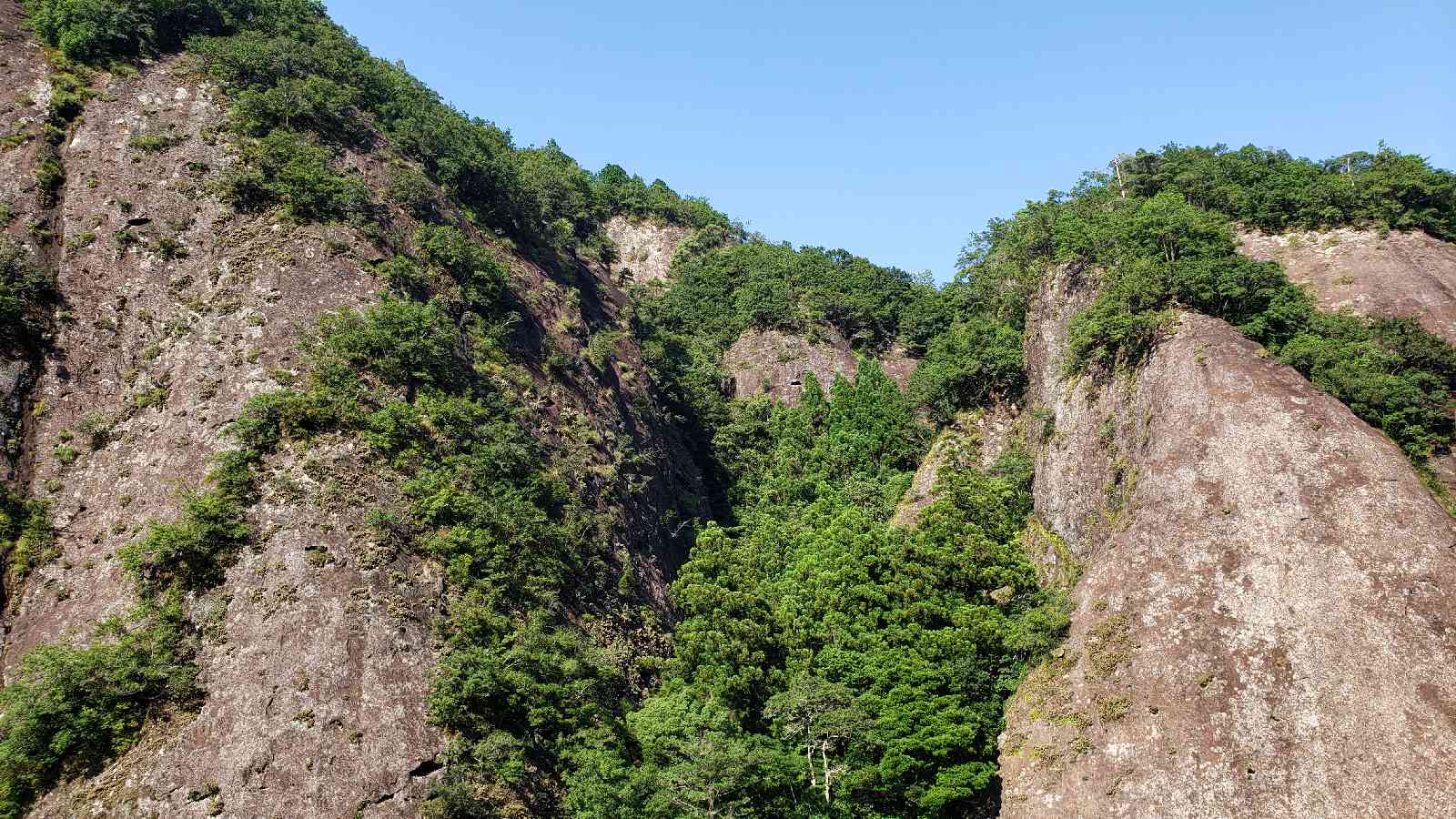 投稿された画像