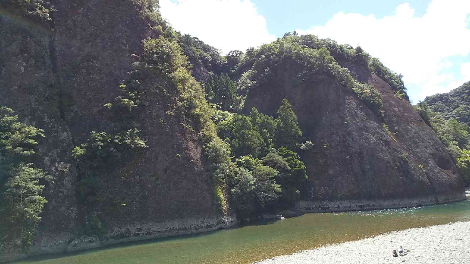 投稿された画像