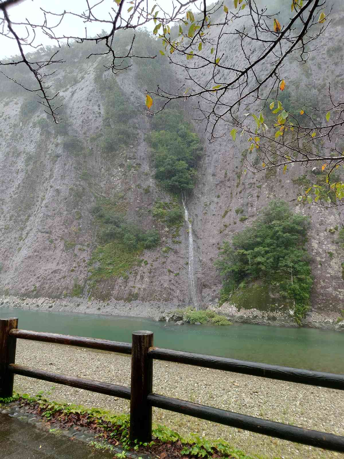 投稿された画像