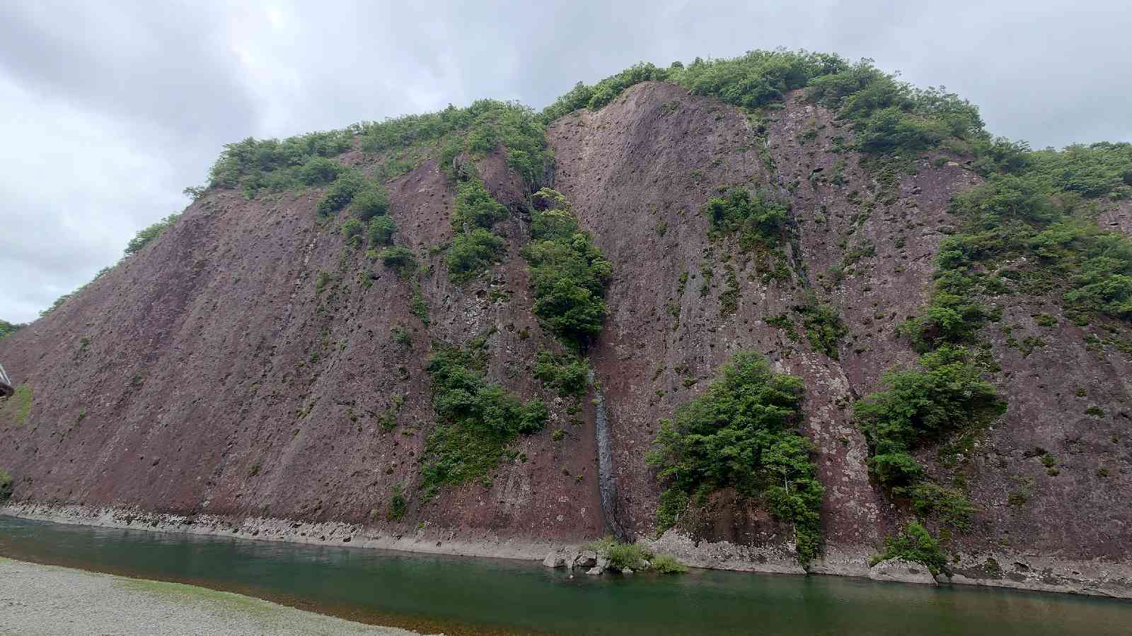 投稿された画像