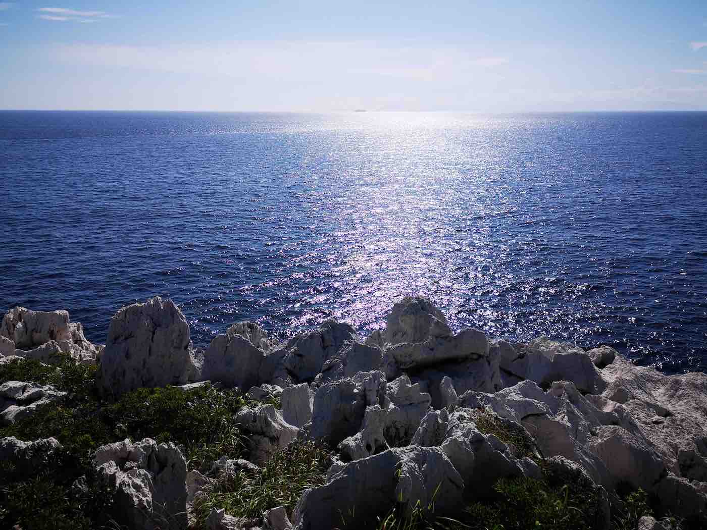 投稿された画像