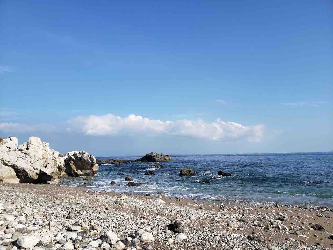 投稿された画像