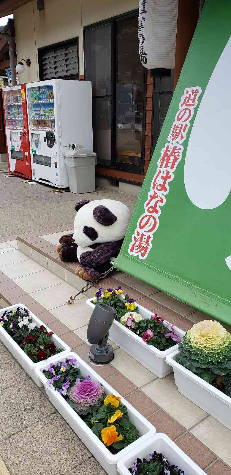 投稿された画像