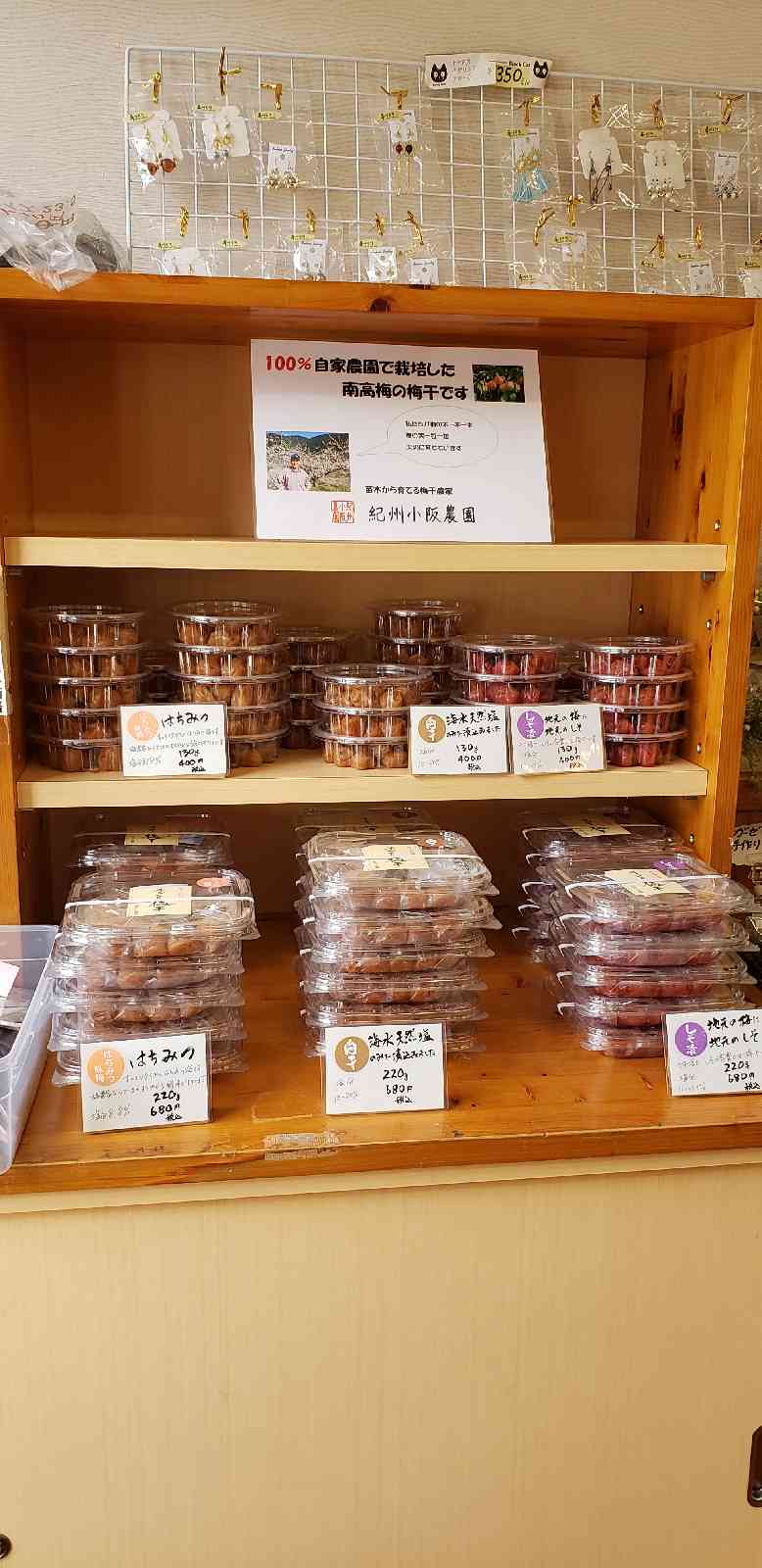 投稿された画像