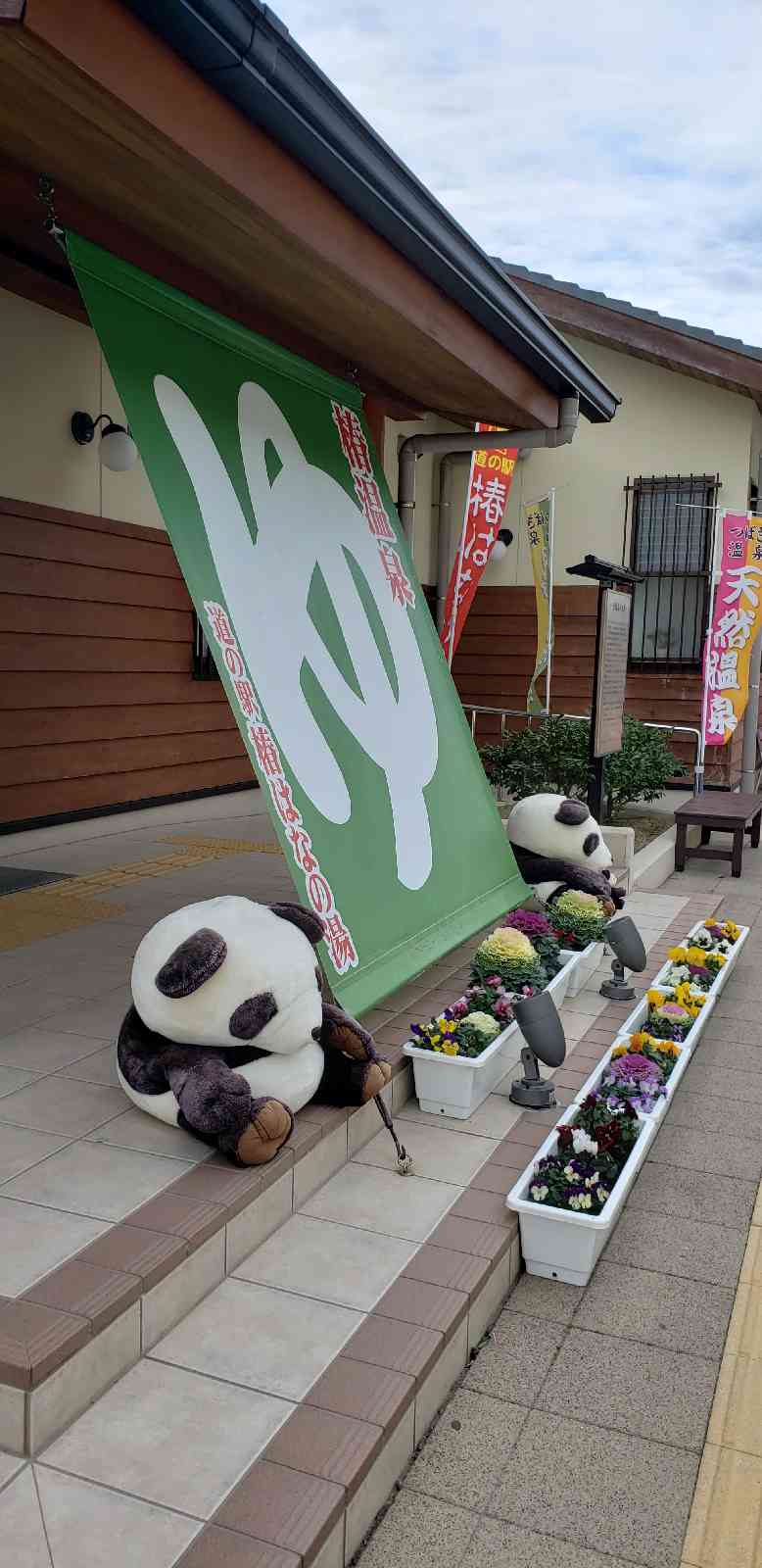 投稿された画像