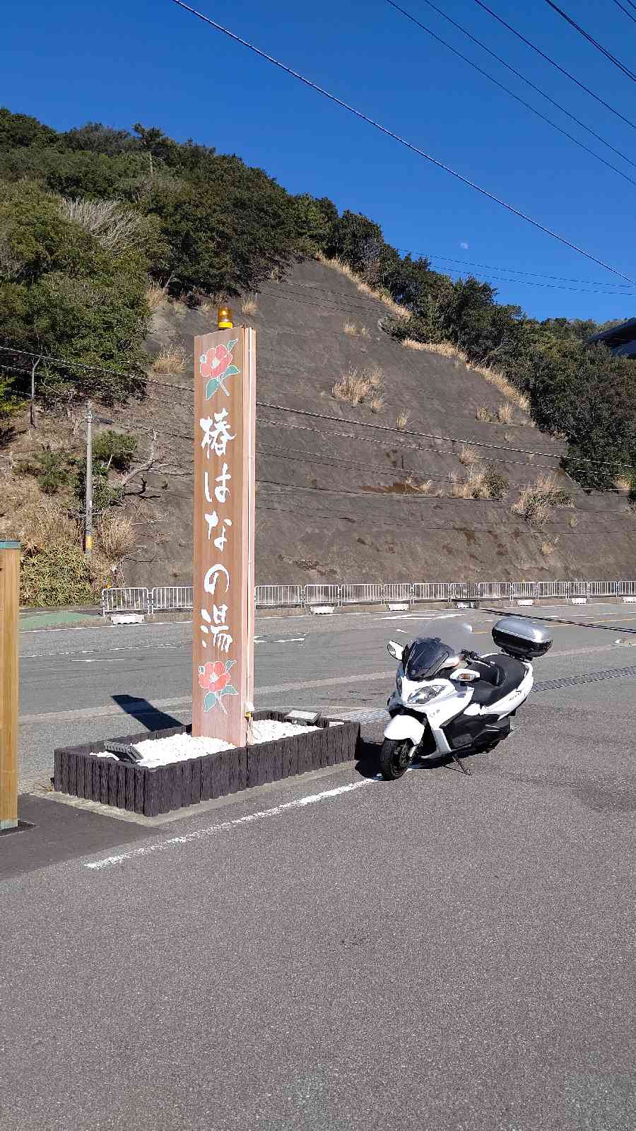 投稿された画像
