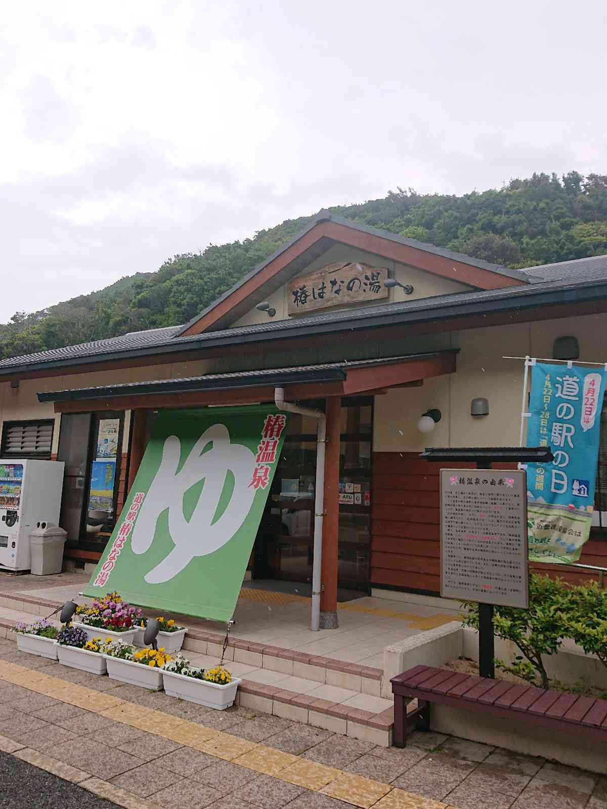 投稿された画像