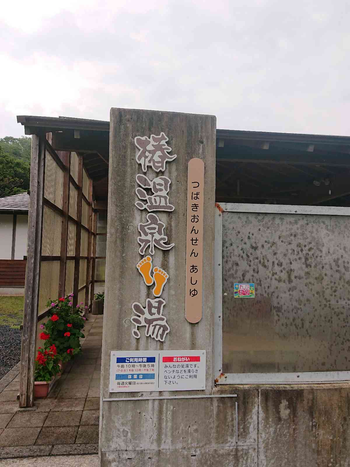 投稿された画像