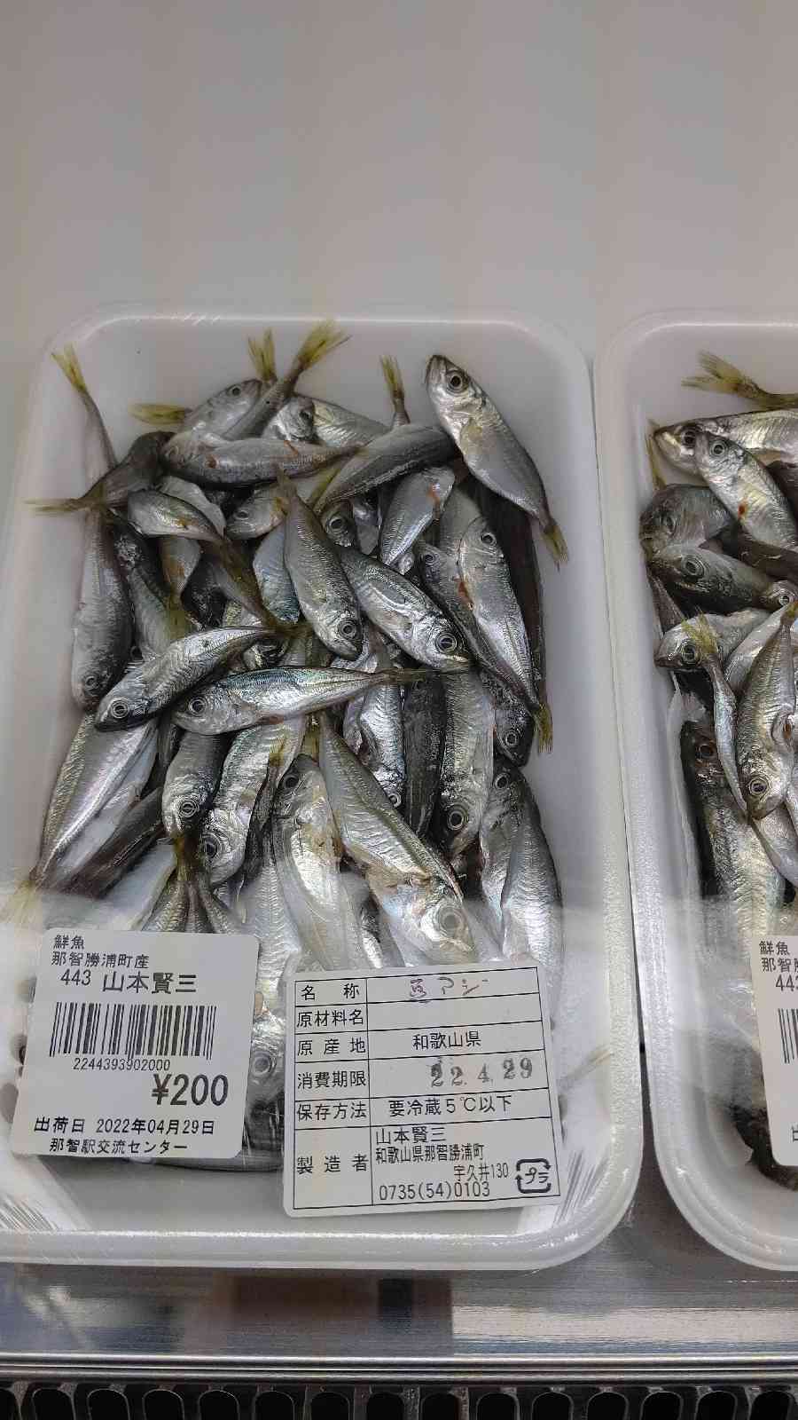 投稿された画像