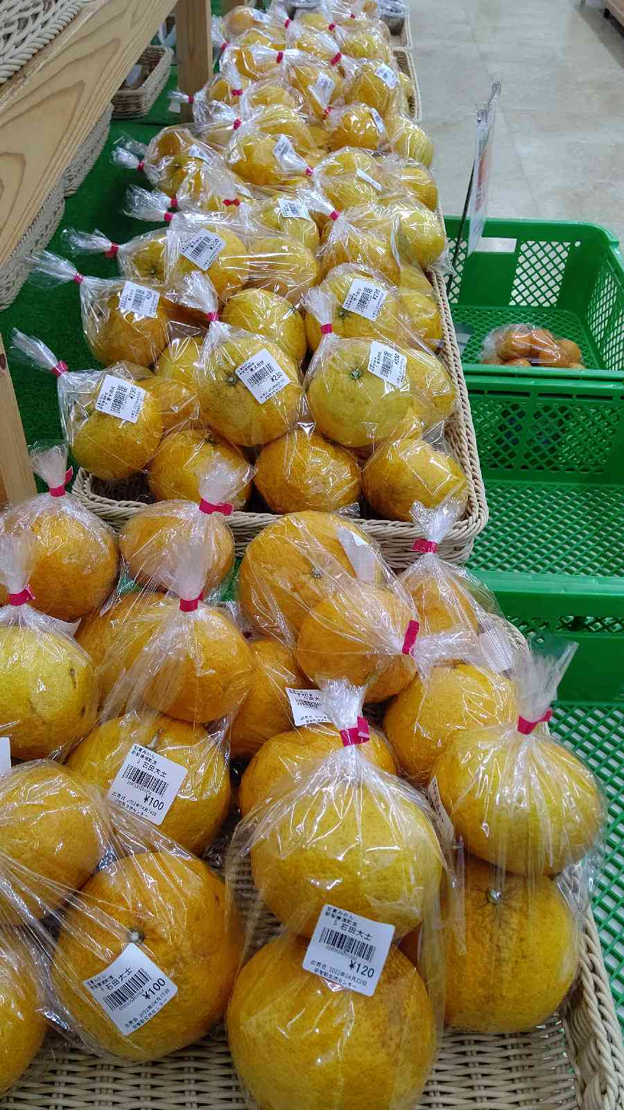 投稿された画像