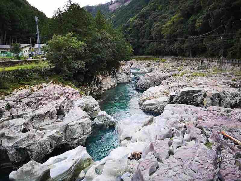 投稿された画像