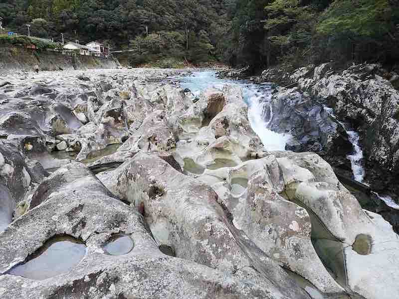 投稿された画像