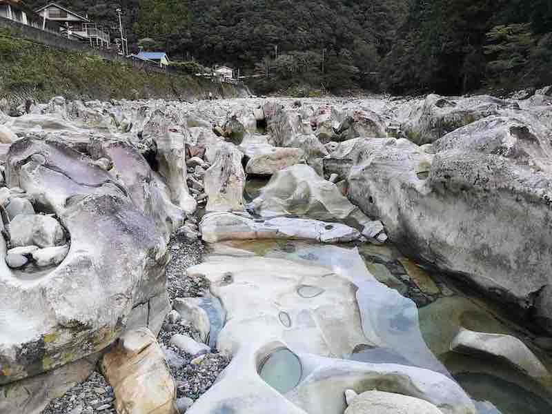 投稿された画像