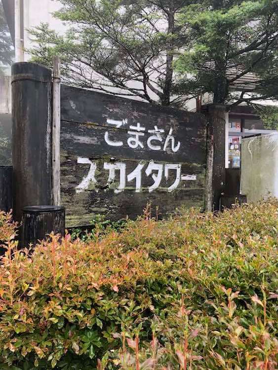 投稿された画像