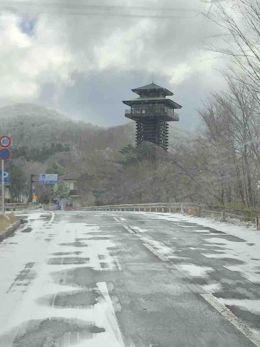 投稿された画像