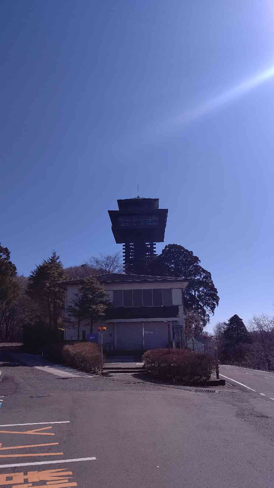投稿された画像