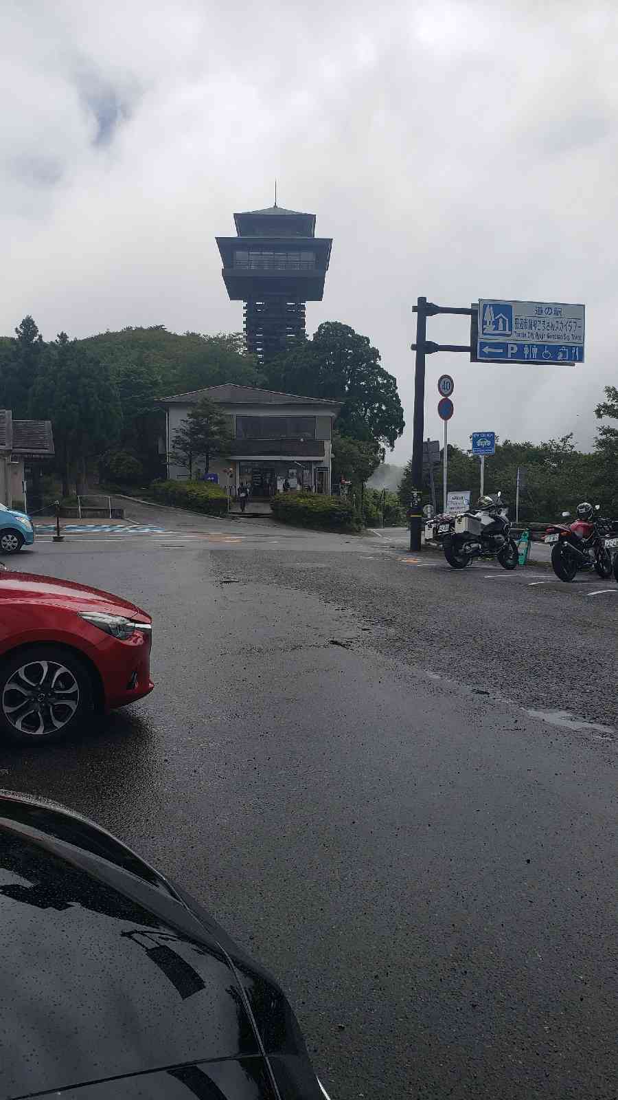 投稿された画像
