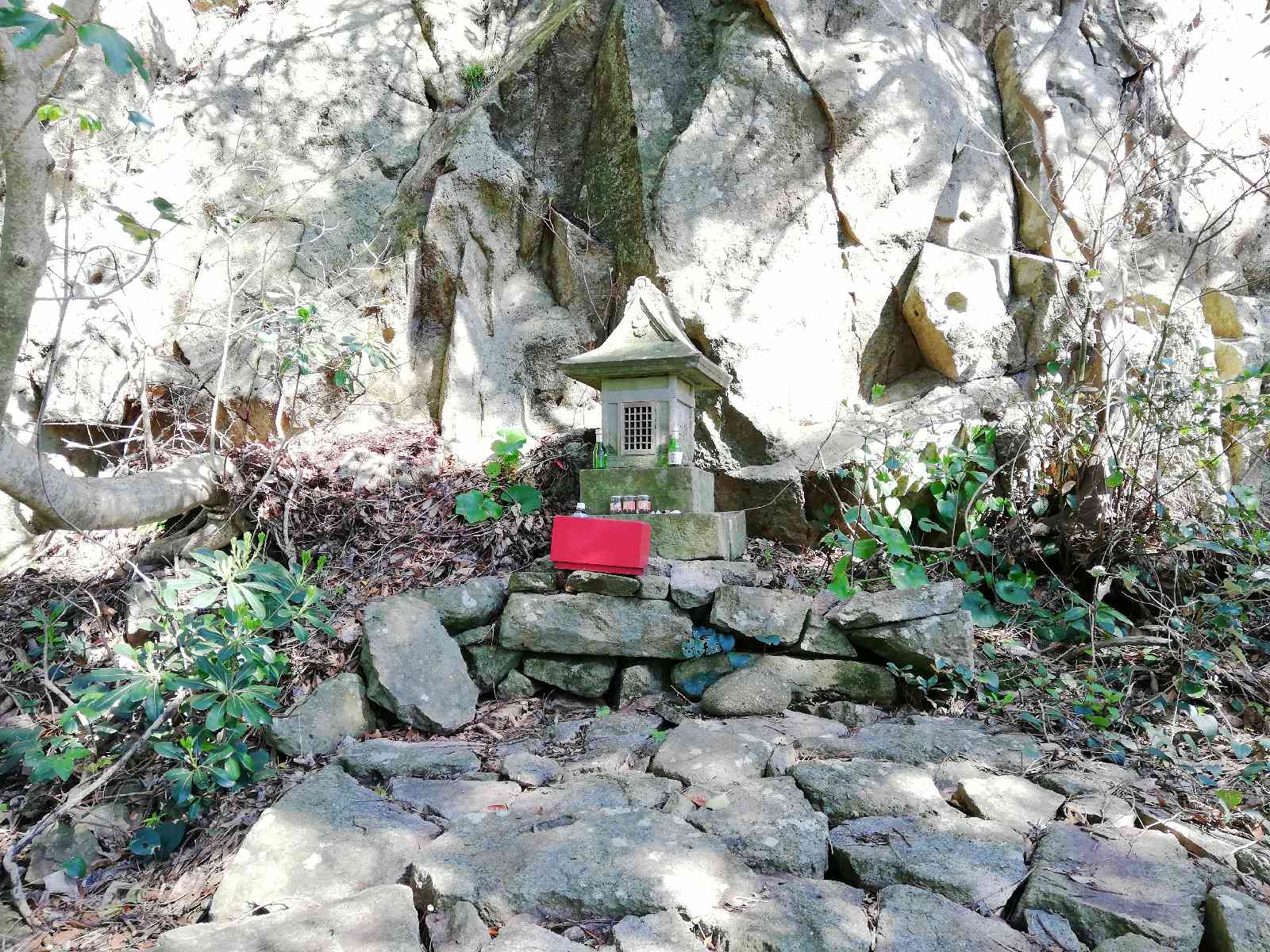 投稿された画像