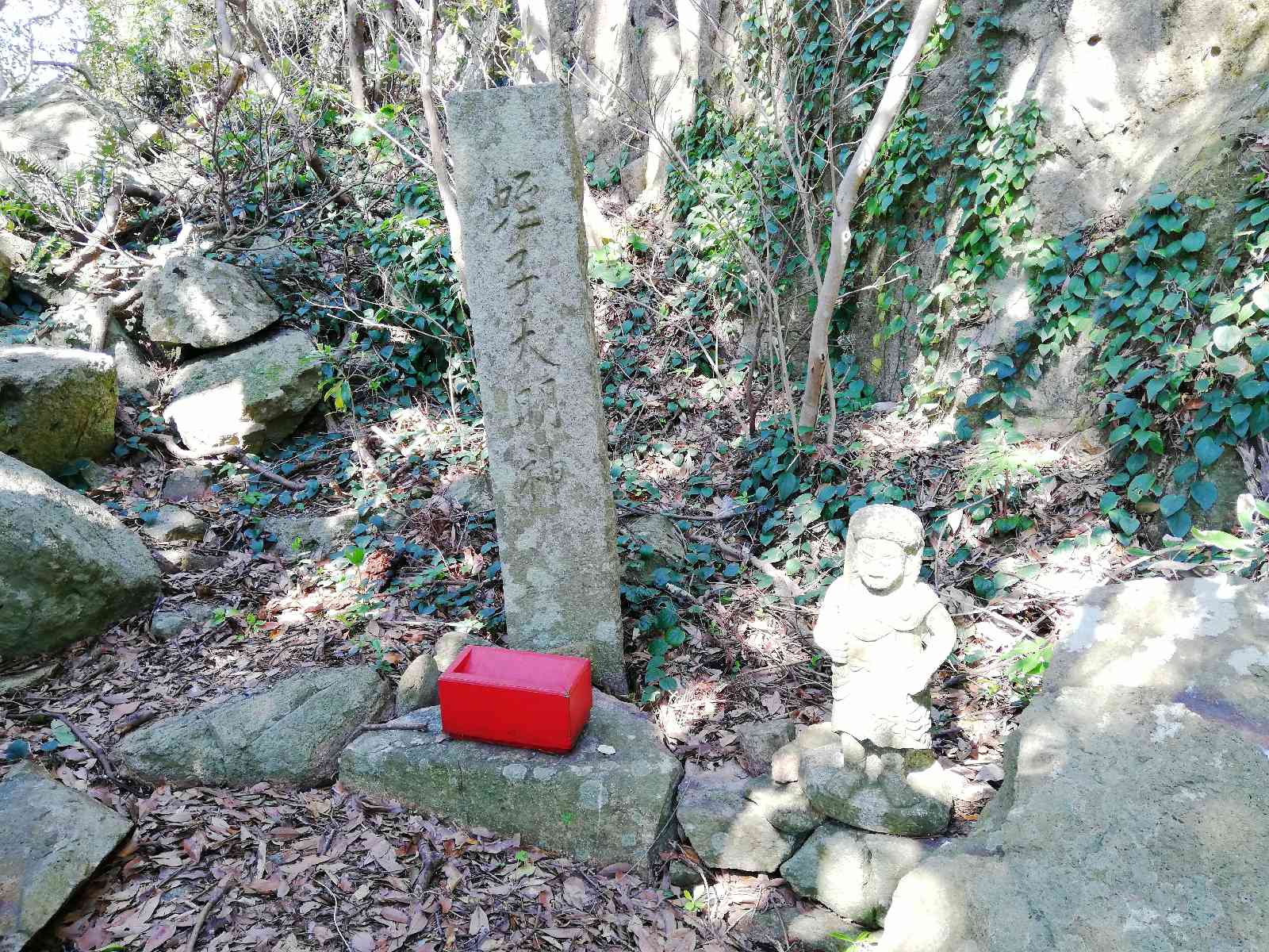 投稿された画像