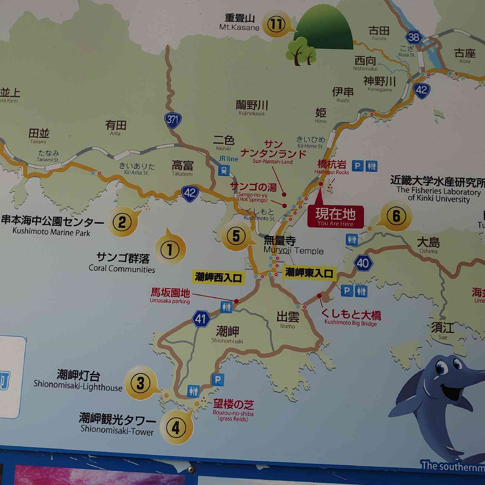 投稿された画像