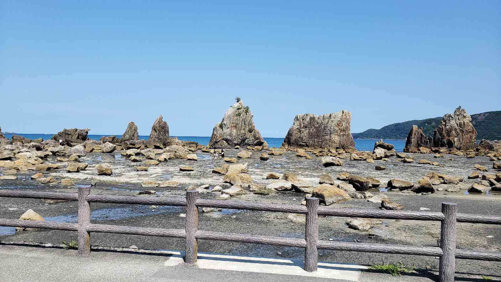 投稿された画像