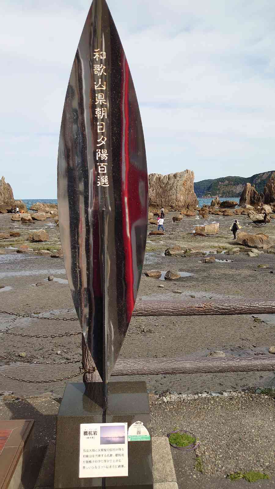 投稿された画像