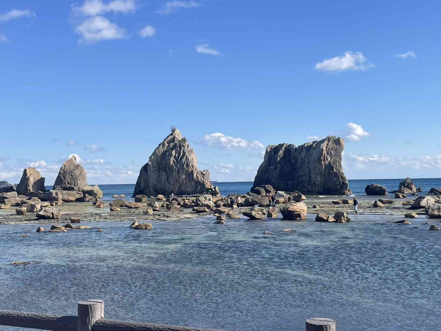投稿された画像