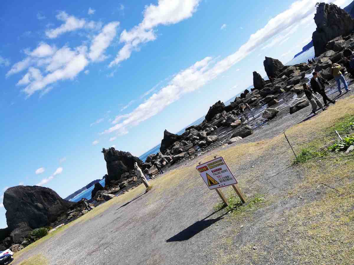 投稿された画像