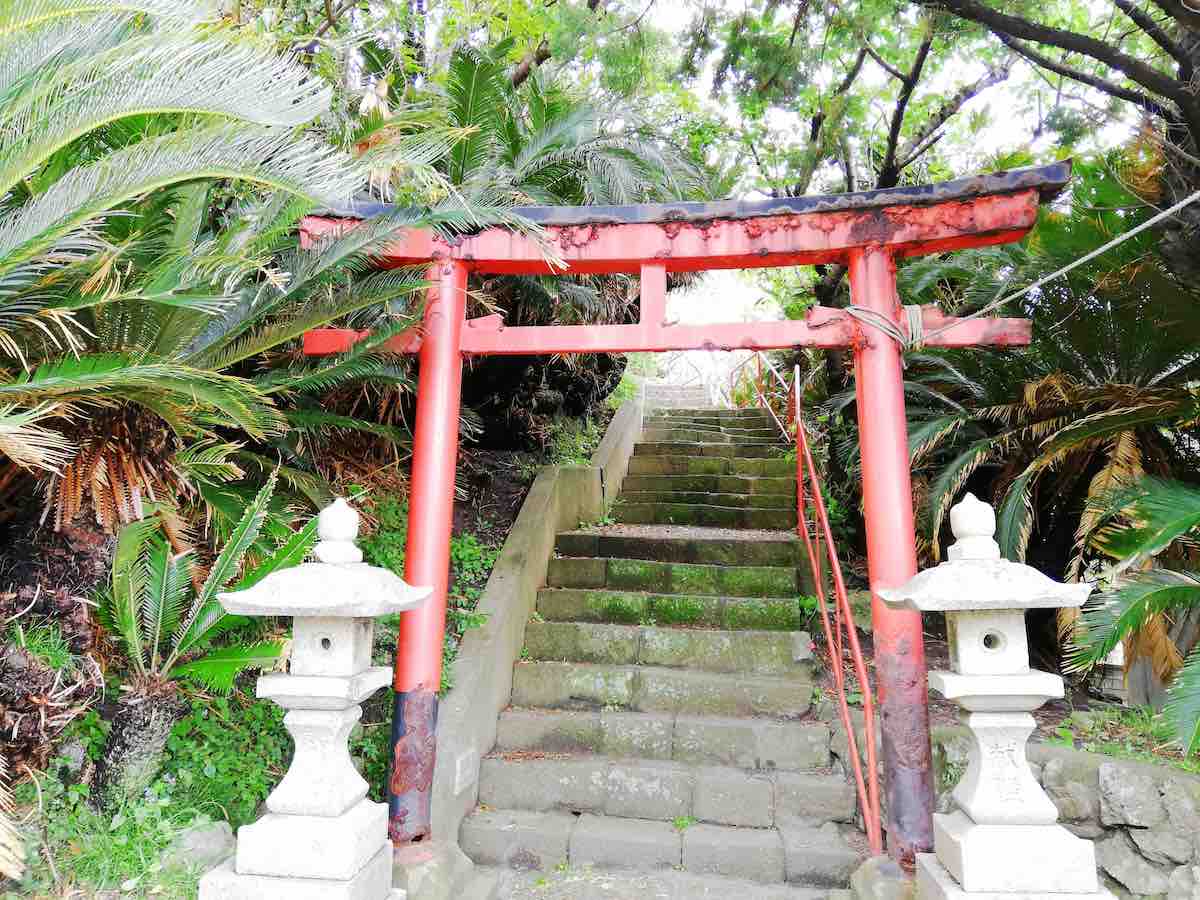 投稿された画像