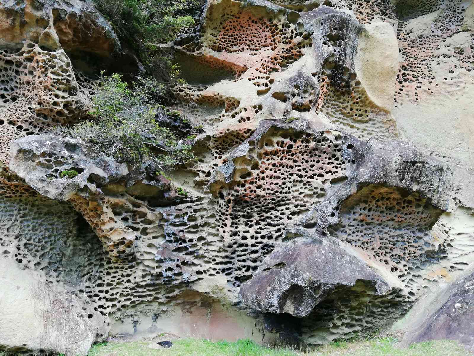 投稿された画像