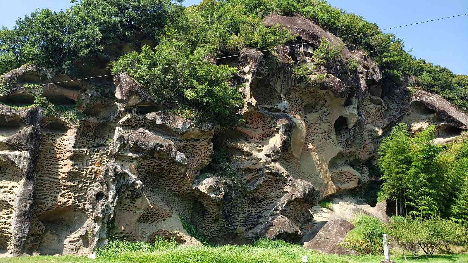 投稿された画像