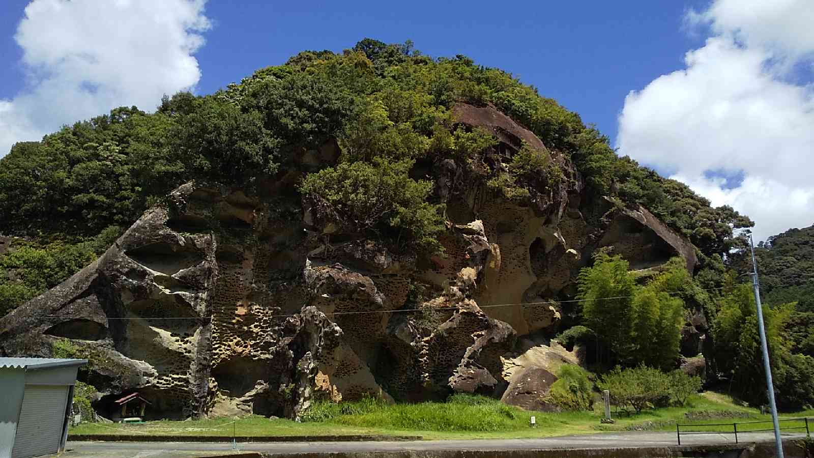 投稿された画像