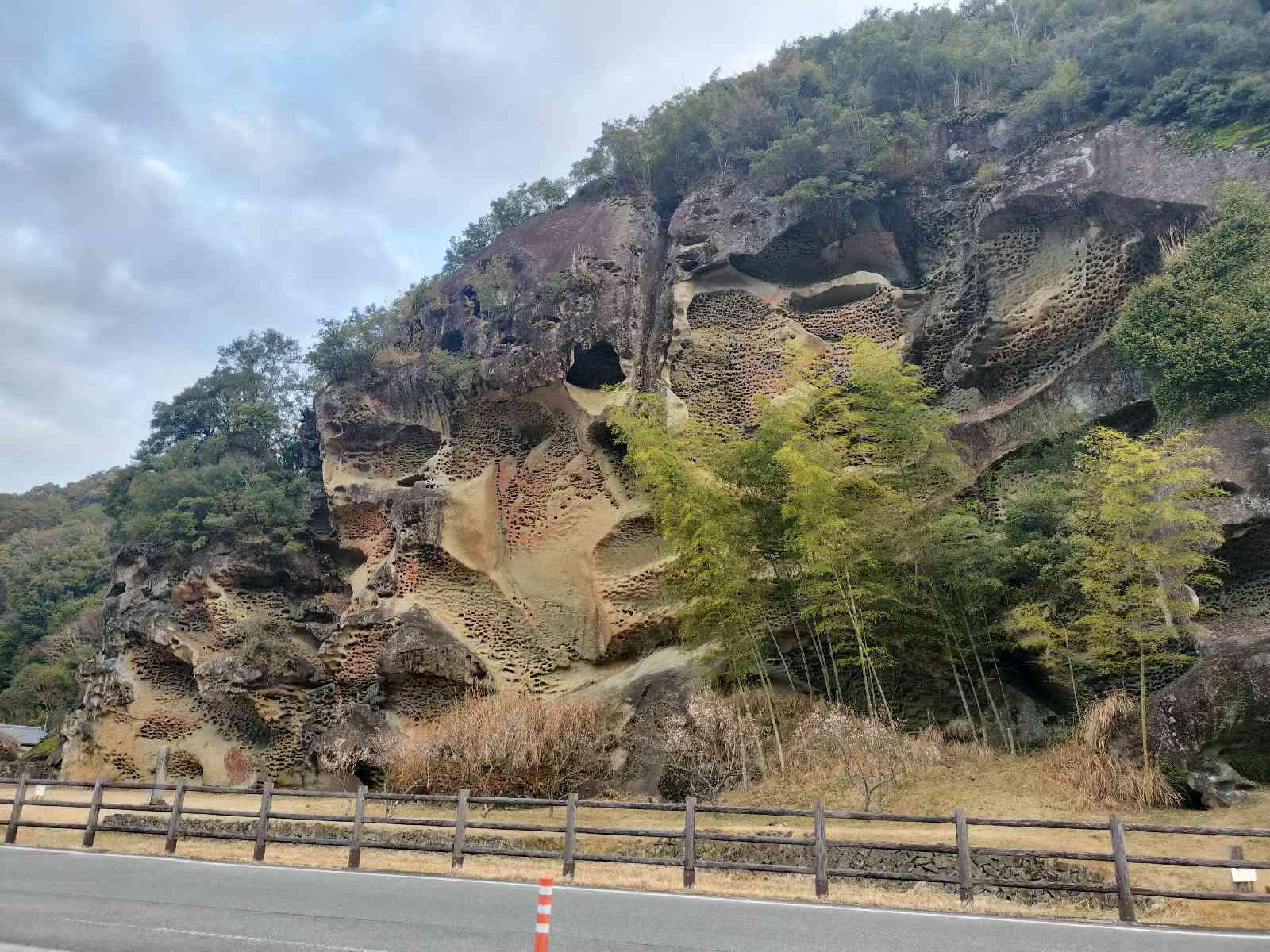 投稿された画像