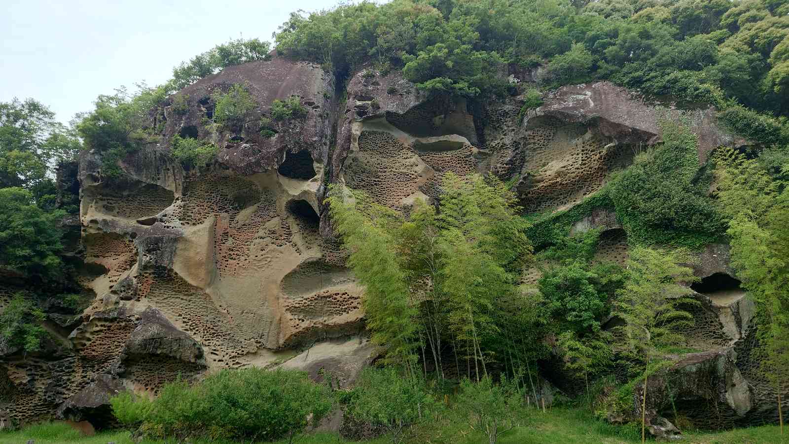 投稿された画像