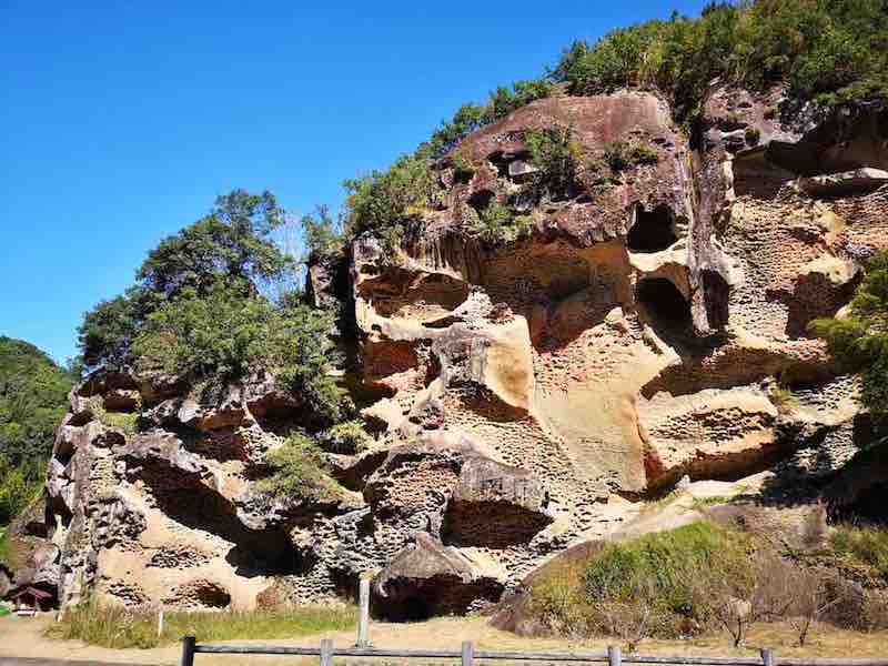 投稿された画像