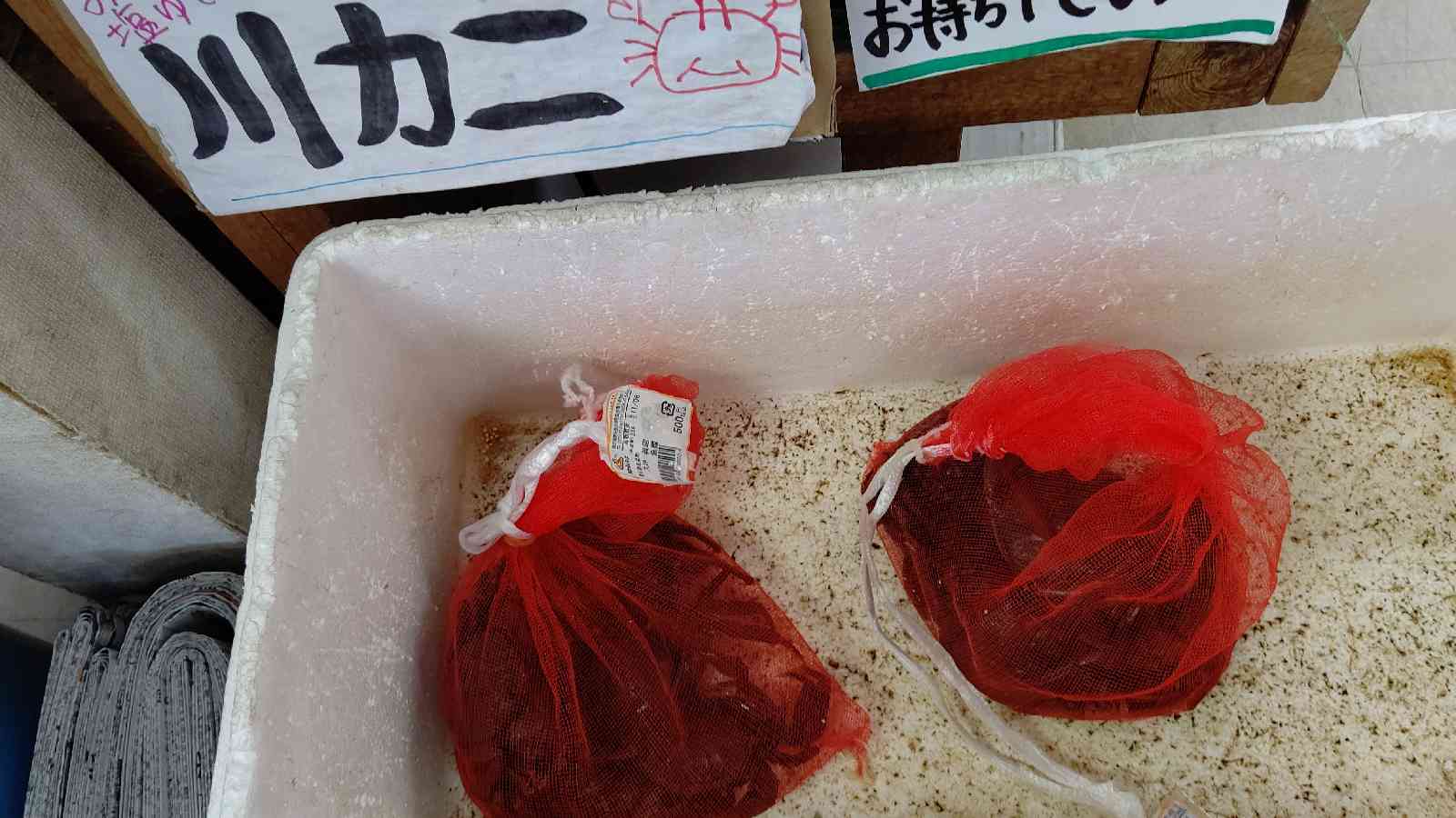 投稿された画像