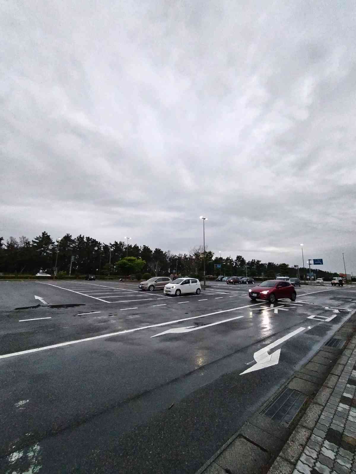 投稿された画像