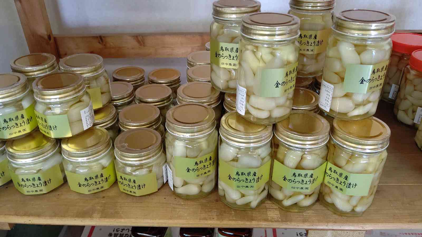 投稿された画像