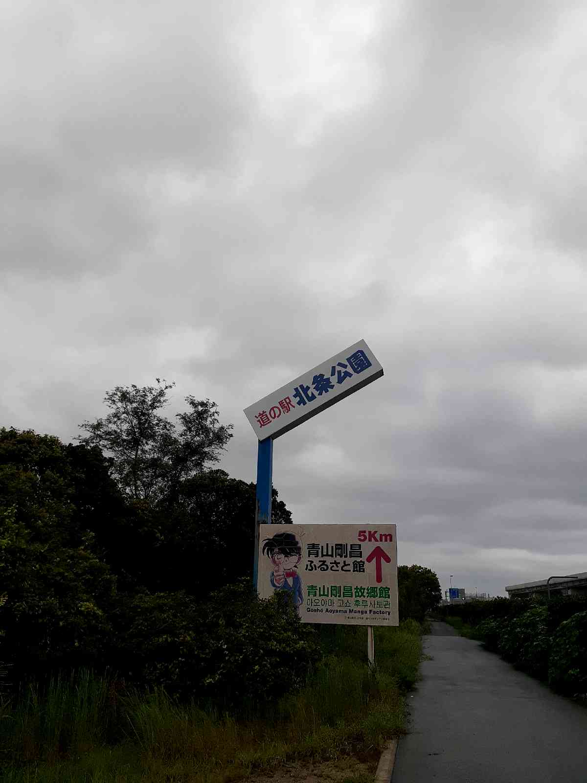 投稿された画像
