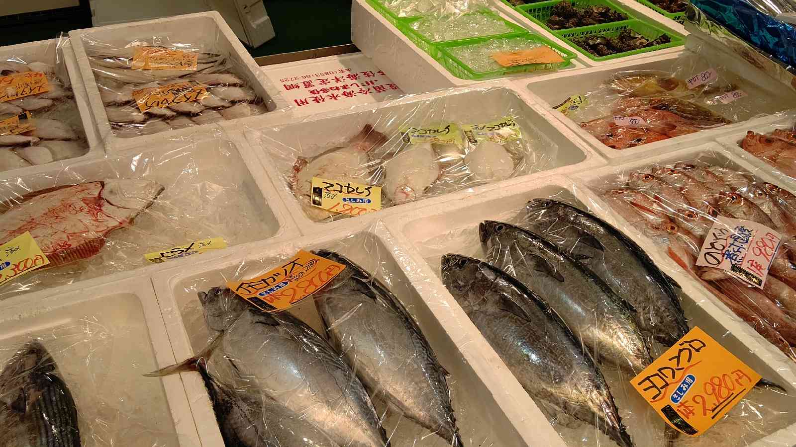 投稿された画像
