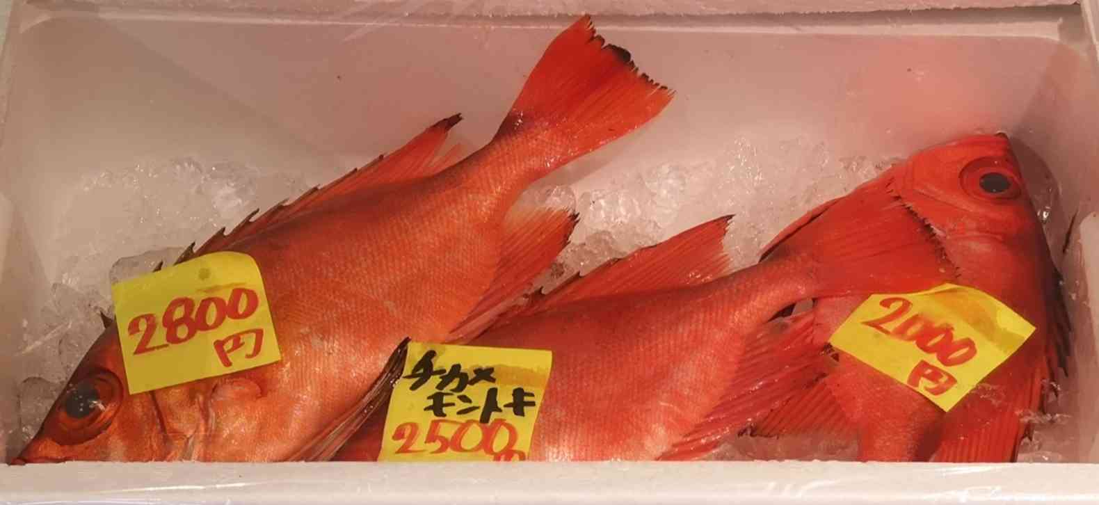 道の駅 ポート赤碕の写真